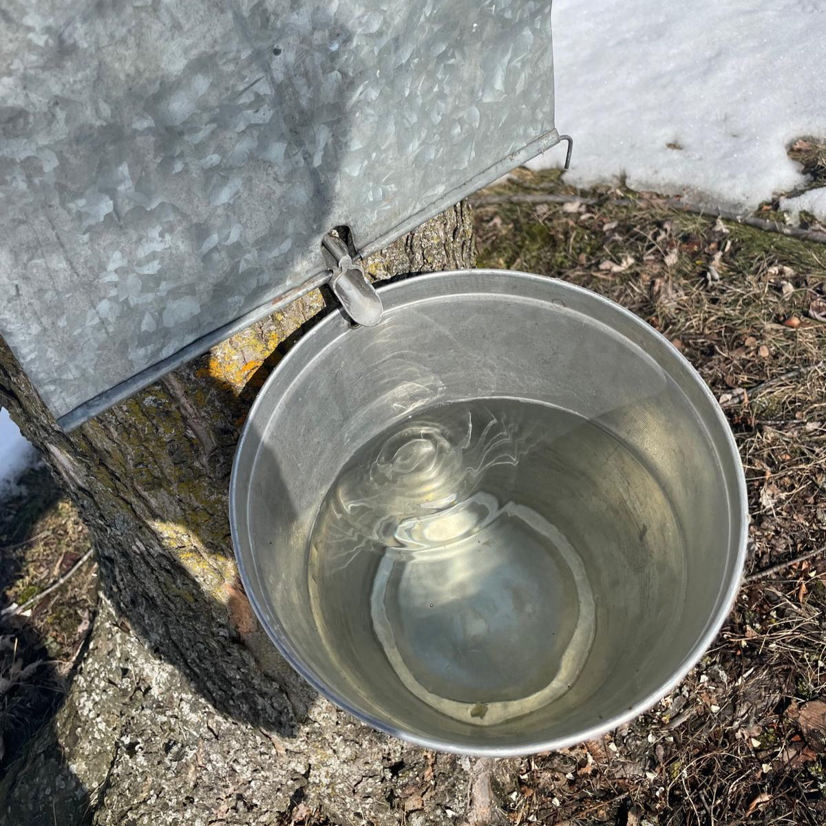 Traditional Open Bucket Trio