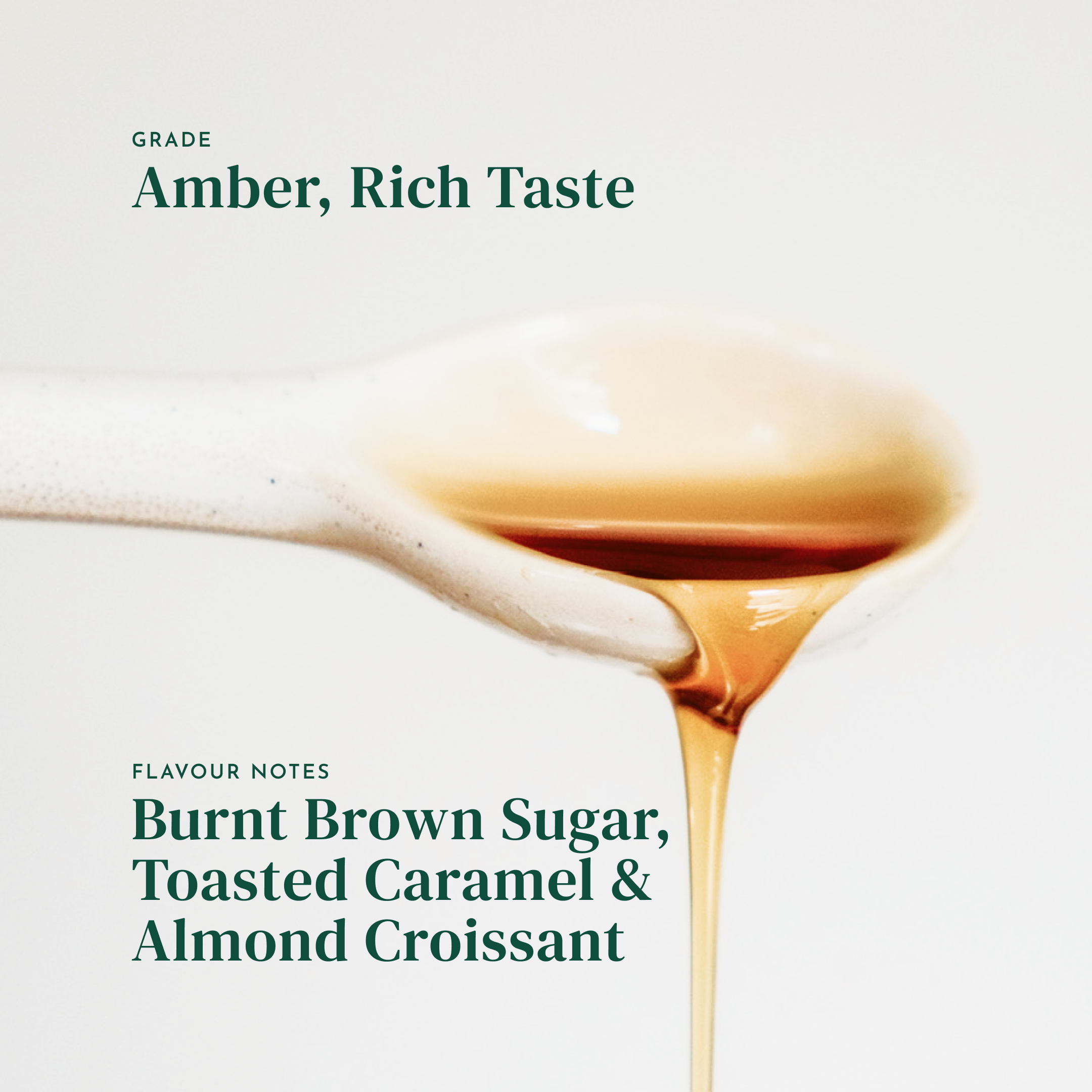 Brian Wilson, Amber Rich Maple Syrup