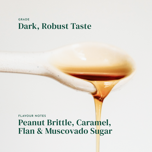 John Filliol, Dark Robust Maple Syrup
