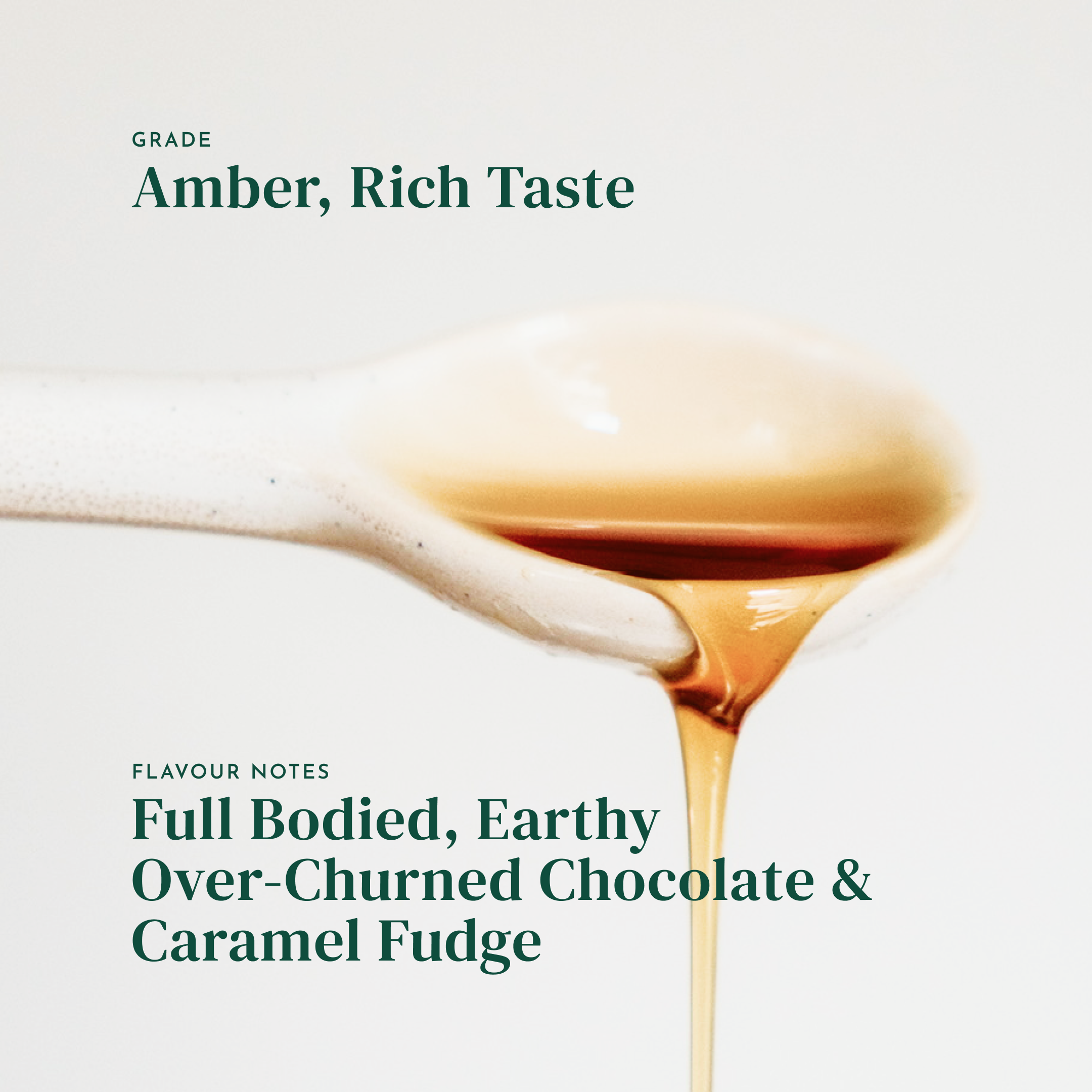 Sebastien Forget, Amber Rich Maple Syrup
