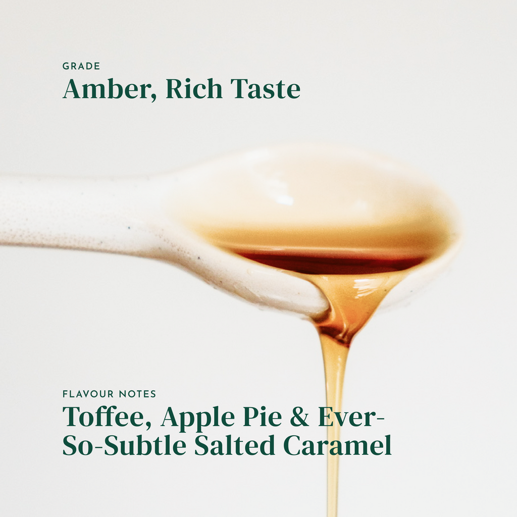Warren MacIntosh, Amber Rich Maple Syrup
