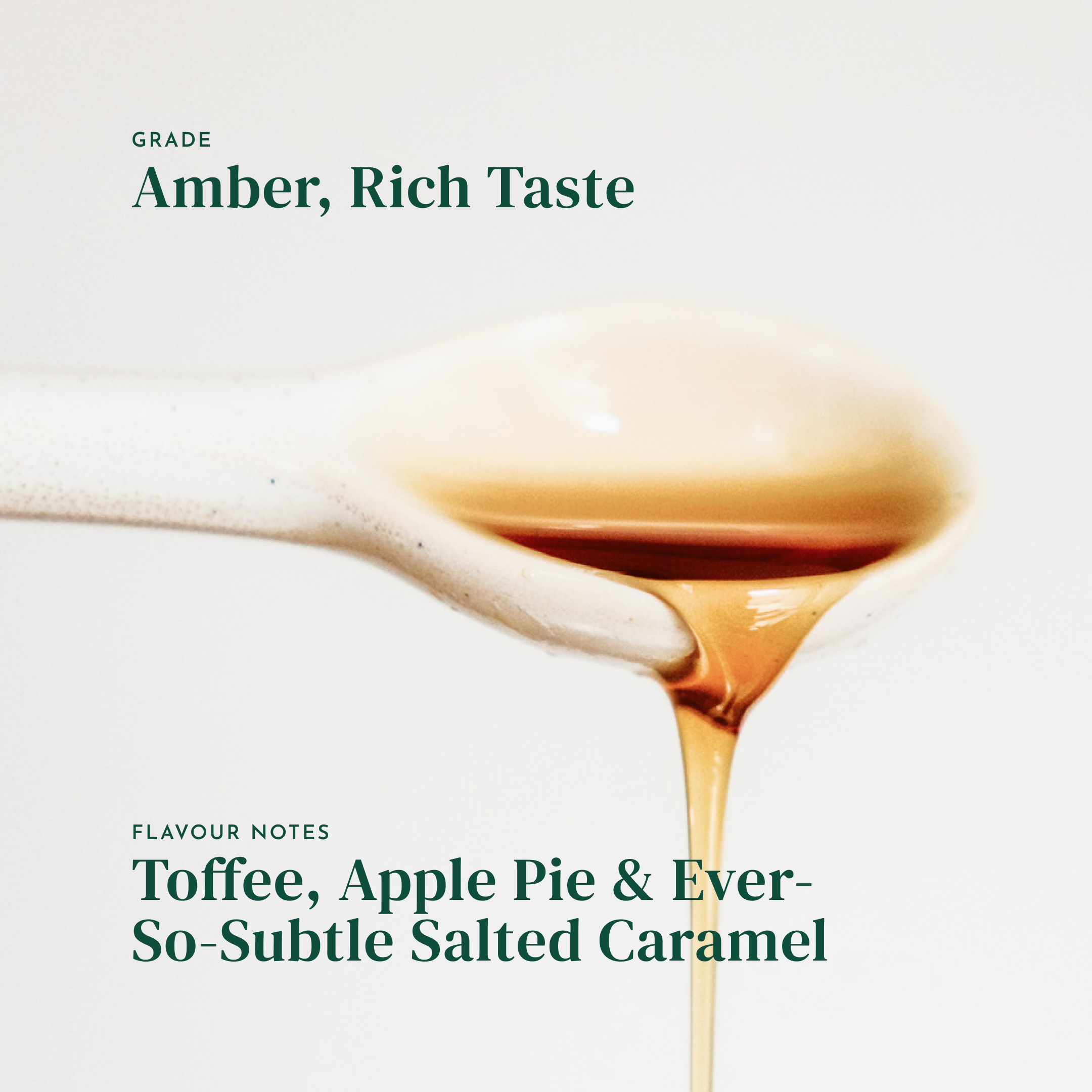 Warren MacIntosh, Amber Rich Maple Syrup